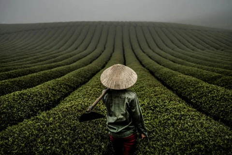Un Vietnam merveilleux via l’objectif d’un photographe américain