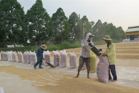 Plus de 4,5 millions de tonnes de riz exportées en neuf mois