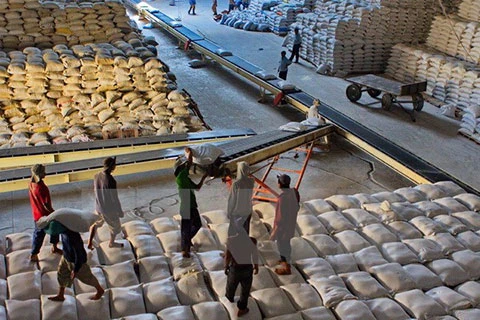 Can Tho : bons signes pour l’export du riz à l’étranger