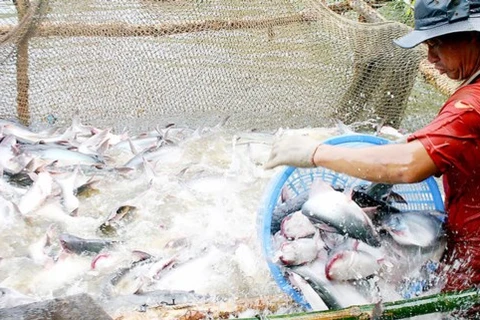 Publication d’une enquête sur la campagne, l’agriculture et l’aquaculture