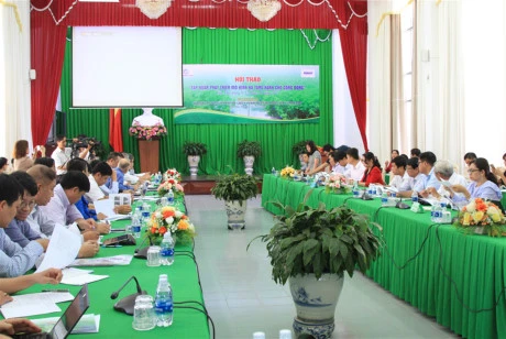 Cân Tho cherche à développer des infrastructures vertes