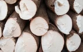 Hausse des exportations nationales de manioc et produits dérivés