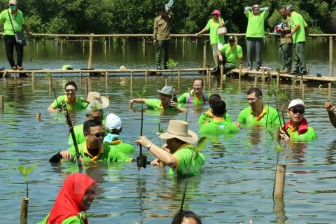 La Journée de la mangrove de l’ASEAN
