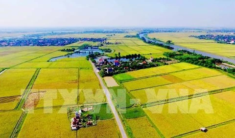 Coopération agricole entre la Belgique et le Vietnam