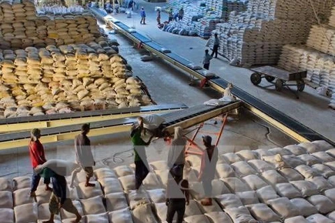 Le Vietnam pourrait exporter 6 millions de tonnes de riz en 2017