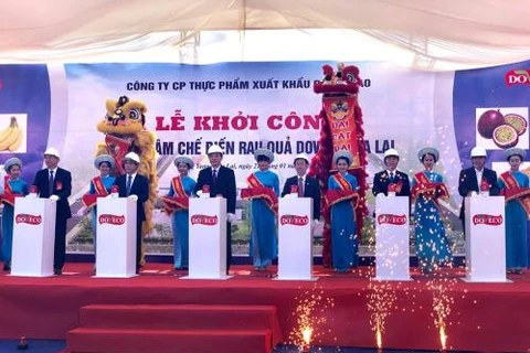 Mise en chantier du plus grand centre de transformation de fruits et légumes au Vietnam 