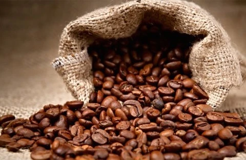 Le marché du café va s’animer grâce à une amélioration du prix d’exportation 