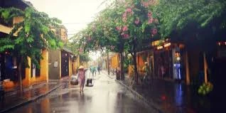 À Hôi An, la pluie du matin réjouit le pèlerin