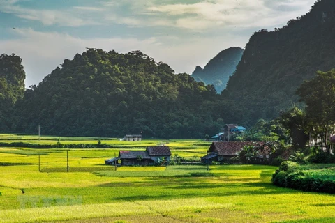 Beauté poétique du parc géologique de Cao Bang 