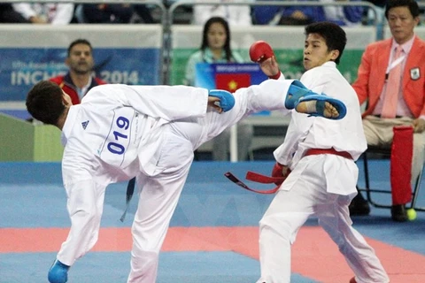 Ouverture du 7e Championnat de karaté d'Asie du Sud-Est à Bac Ninh