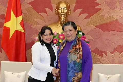 Promouvoir les relations des jeunesses vietnamiennes et cubaines