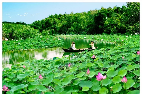 Dông Thap : la Fête des fleurs de lotus 2018