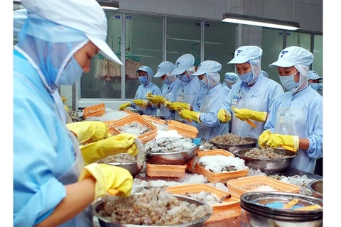 L’UE, premier marché importateur de crevettes vietnamiennes