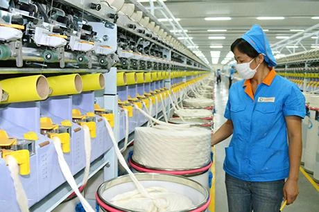 Fibres textiles: 3,9 milliards de dollars d’exportation attendus en 2018
