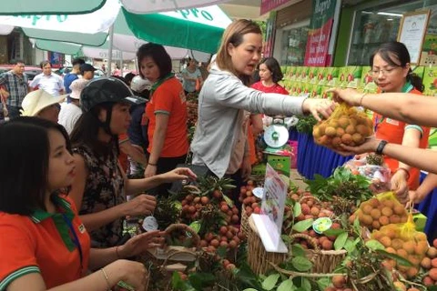 Semaine des litchis "Thiêu" de Thanh Hà-Hai Duong à Hanoï