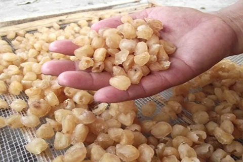 Production traditionnelle de longanes séchés à Hung Yen