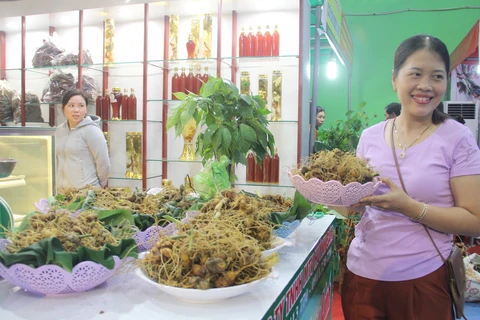  Ouverture du deuxième festival du ginseng de Ngoc Linh à Quang Nam