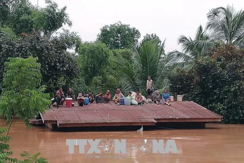 Barrage effondré au Laos: l’Armée populaire du Vietnam aux côtés des sinistrés 