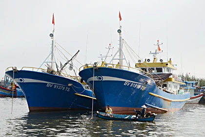 Ba Ria-Vung Tau renforce la sensibilisation sur la lutte contre la pêche INN
