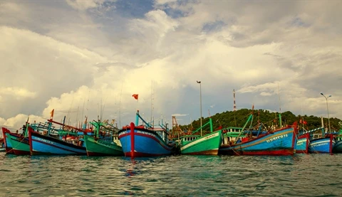 Kiên Giang s’efforcent de lutter contre la pêche INN