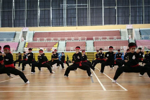 Ouverture des premiers Championnats du monde d'arts martiaux traditionnels vietnamiens