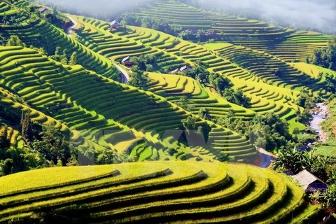 Semaine culturelle et touristique des rizières en terrasse de Hoàng Su Phi 