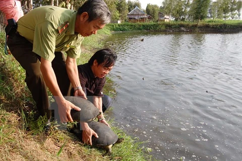Le Danemark continue d'aider le Vietnam dans la préservation de la biodiversité 