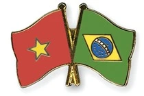 Vietnam-Brésil: de nombreux potentiels de coopération dans la défense 