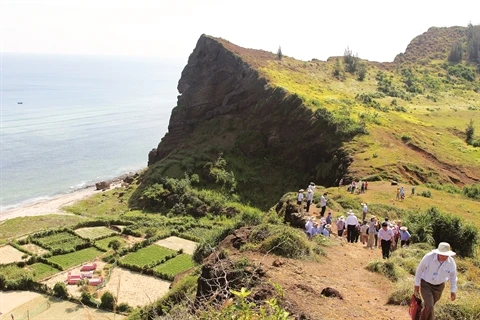 Ly Son, excursion au cœur du royaume de l’ail