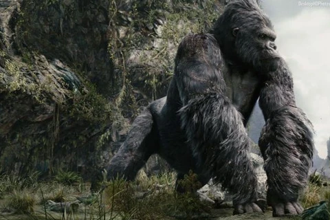 Le film "Kong: Skuld Island" sera tourné au Vietnam