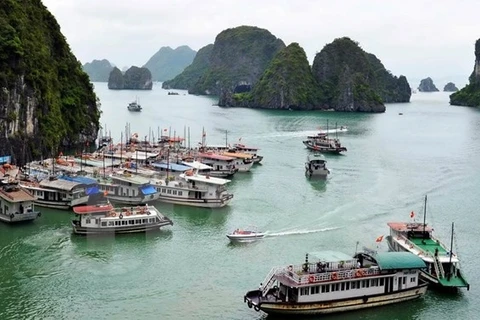 Quang Ninh accueille près de 7,4 millions de visiteurs en novembre 