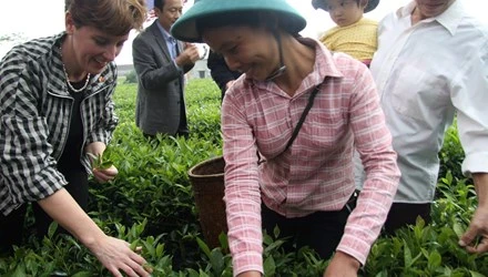 Assistance canadienne de plus de 18 millions de dollars pour les agriculteurs vietnamiens