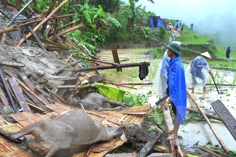 Le Vietnam classé au 7e rang en termes de dégâts dus au changement climatique