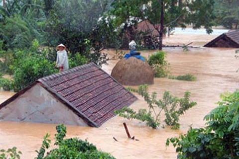 Calamités naturelles : assistance de 130 mlds de dôngs pour 10 localités sinistrées 