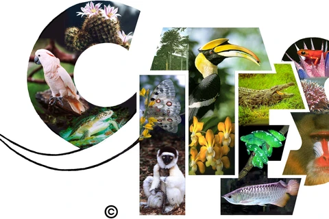 Le Vietnam organisera la 3e conférence sur le trafic d’espèces sauvages