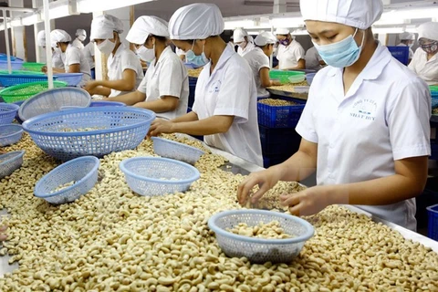 Binh Phuoc-Côte-d'Ivoire : coopération dans le secteur de la noix de cajou