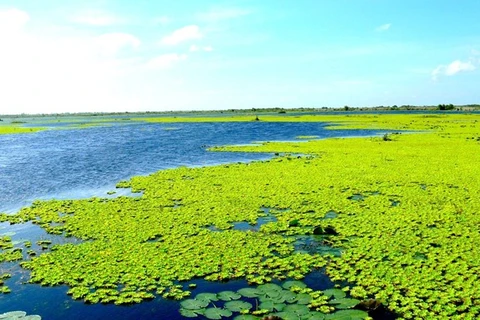 U Minh Thuong devient le 2.228e site Ramsar du monde