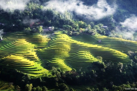 Hoang Su Phi se prépare à la 2e Semaine culturelle et touristique des rizières en terrasses 2016