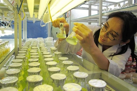 Les pas difficiles de la biotechnologie au Vietnam