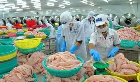 Davantage de producteurs autorisés à exporter des poissons tra aux Etats-Unis