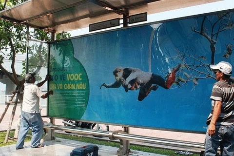 Dà Nang : une campagne de protection des doucs sur les abribus