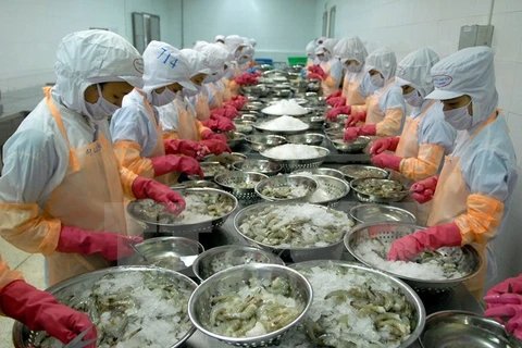Hausse des exportations de crevettes aux Etats-Unis