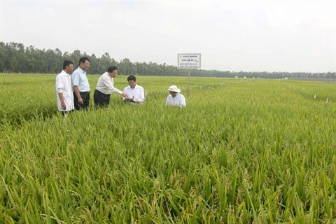  Le Soudan souhaite renforcer sa coopération avec le Vietnam dans l'agriculture et l'industrie