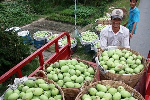 Les Sud-Coréens friands de fruits du Vietnam