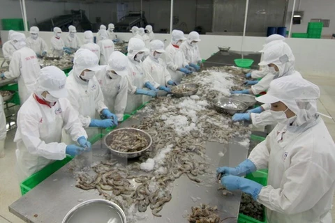 Crevettes : le Vietnam gagne des parts de marché en R. de Corée