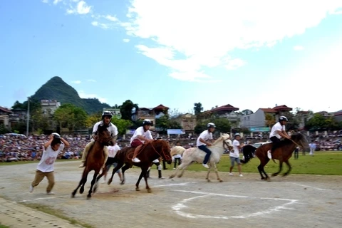 Originalité de la course de chevaux de Bac Hà
