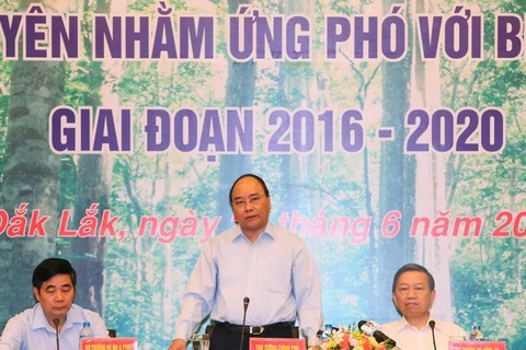 Tay Nguyen : mobiliser les synergies pour le développement durable des forêts