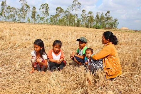 El Nino : accélération des procédures pour accéder à l’aide de la BAD