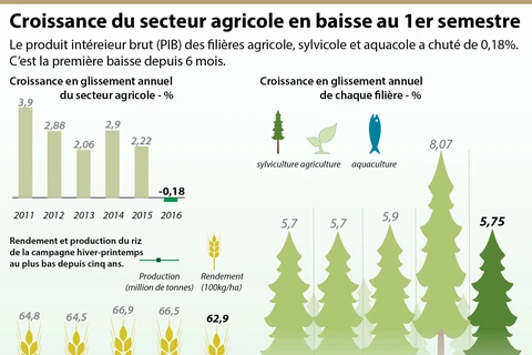 Croissance du secteur agricole en baisse au 1er semestre