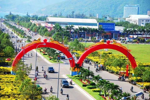 Un groupe malaisien évalue les opportunités d’investissement à Binh Dinh